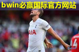 乒乓球的乒乓球台